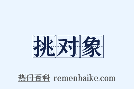 挑对象是什么意思的图片